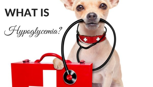 Image showcasing HOW TO RECOGNIZE, TREAT AND PREVENT HYPOGLYCEMIA