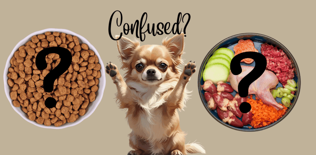 bowl of kibble and bowl of fresh food which is best dog food