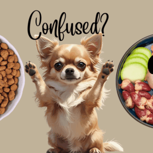 bowl of kibble and bowl of fresh food which is best dog food