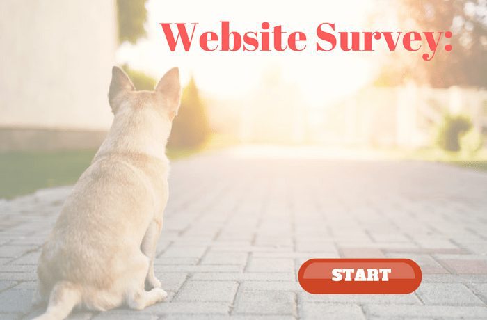 website-survey-page_