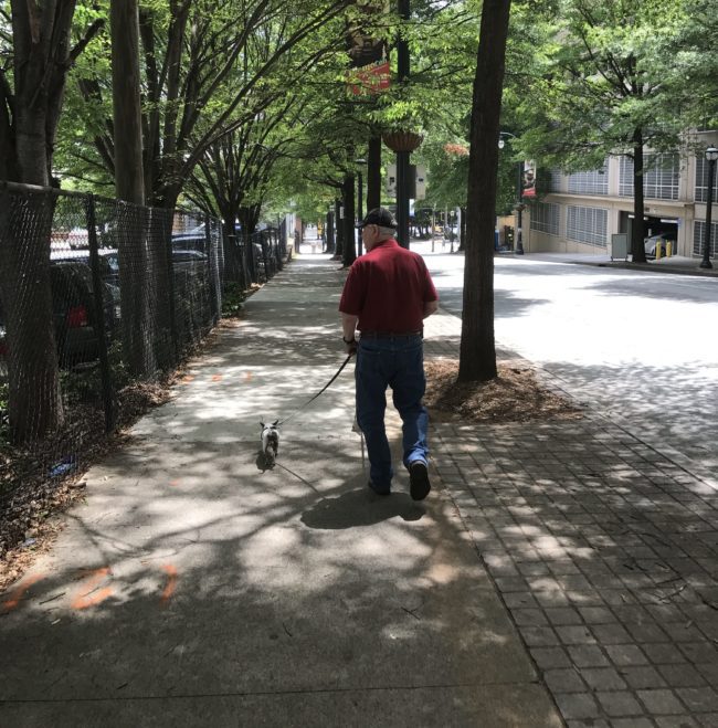 shopping with chihuahua, man walking with chihuahua down street in atlanta, ga