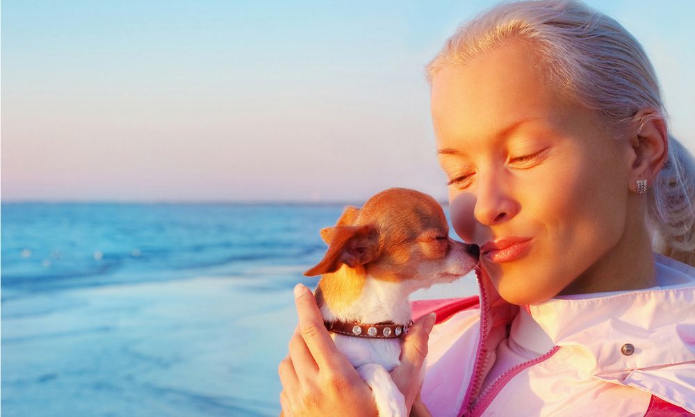 an attractive older woman kissing her chihuahua with ocean in background