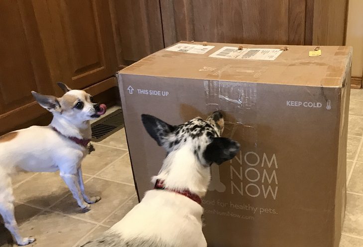 nomnomnow fresh dog food delivery service