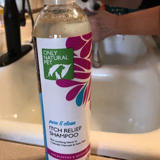 Shampoo for dogs dry, itchy skin