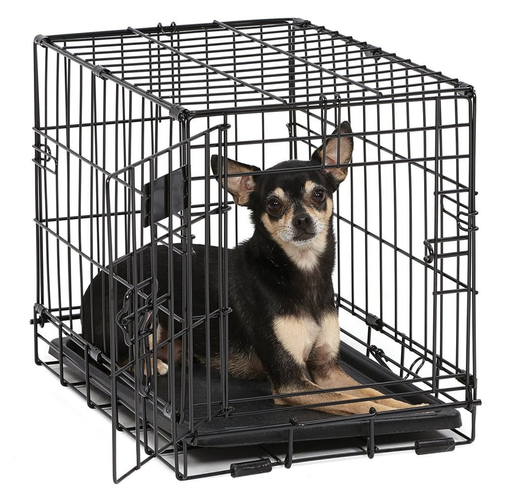 a black and tan short haired Chihuahua lying in a wire crate with white background