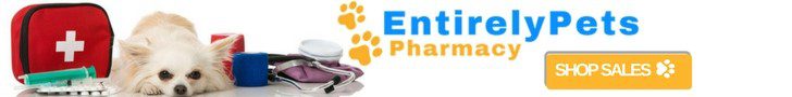 should i take my dog to the vet, ad for entirelypets pharmacy sale
