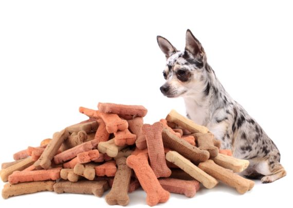 top rated treats for small dogs