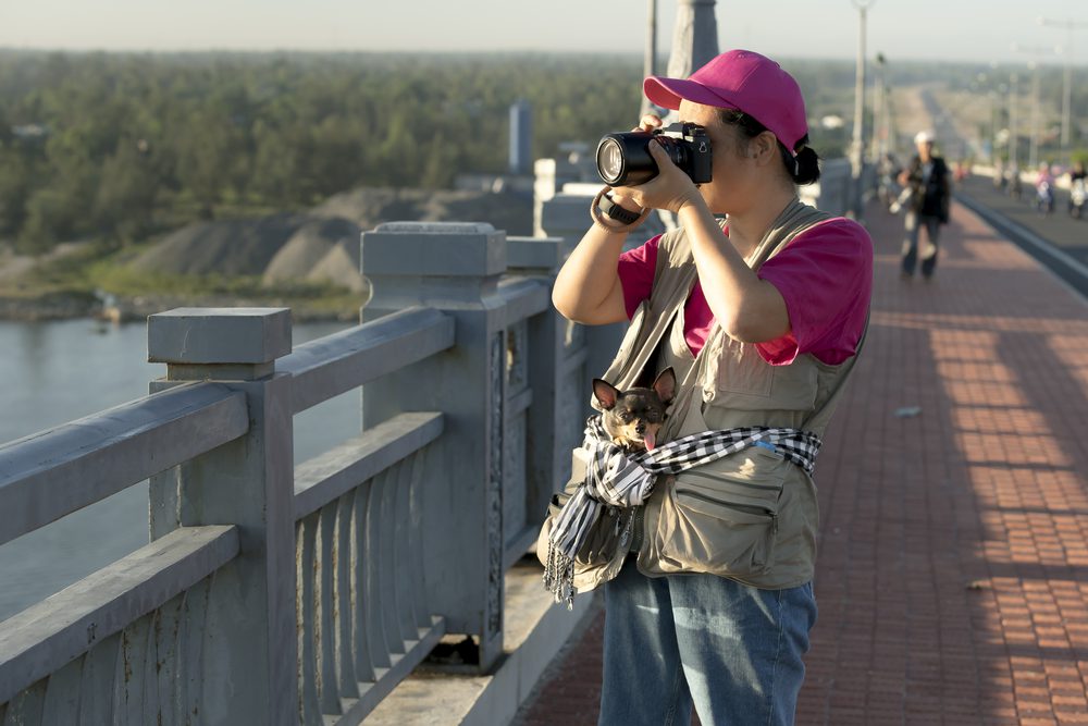 woman on a bridge taking a photo with chihuahua in pouch around her waist a well-mannered dog can go places with you
