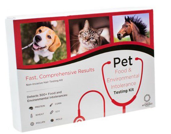 5Strands Pet Food & Environmental Intolerance Testing Kit