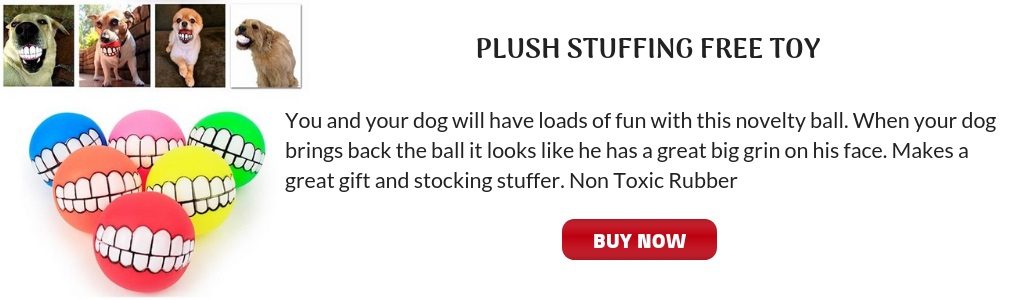 gifts for dogs, grinning rubber ball