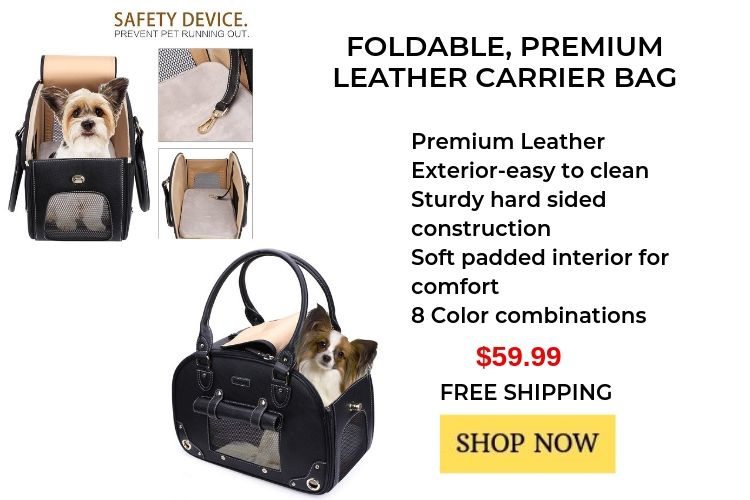 The 5 Best Chihuahua Carriers that will make your life easier