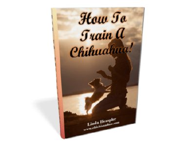 amazing chihuahuas, book cover, how to train a chihuahua
