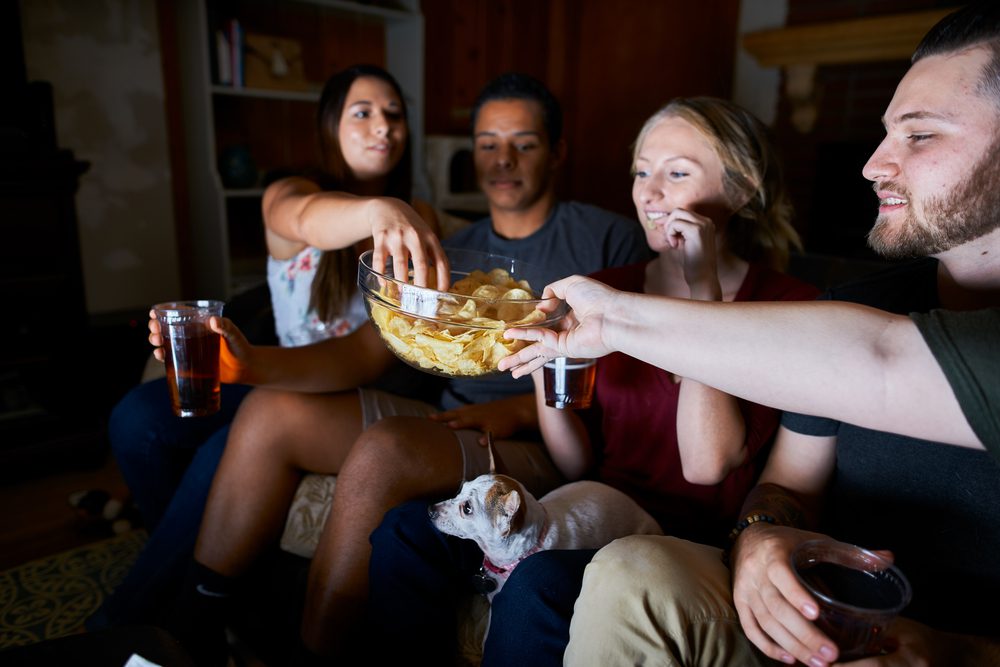 toxic foods for dogs, four people passing potato chips with a chihuahua sitting between them