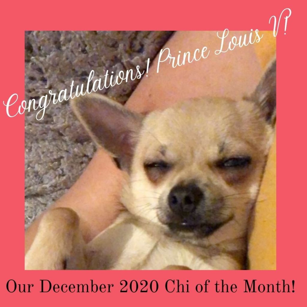 our december 2020 chi of the month winner is prince louis v