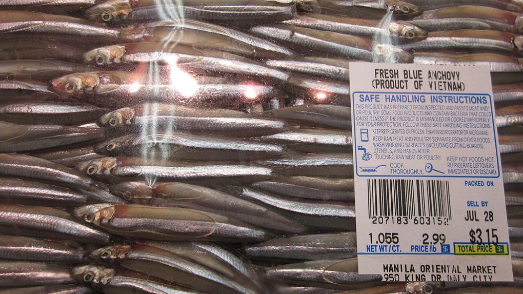 package of fresh blue anchovies