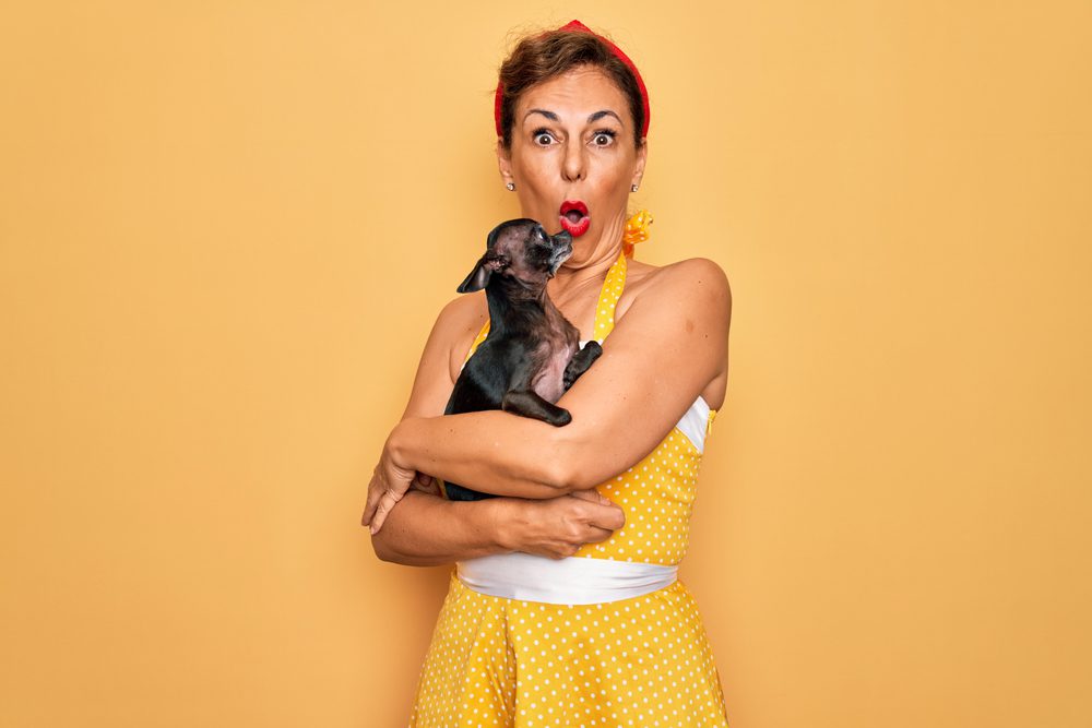 woman in yellow dress holding chihuahua with a surprised expression yellow background