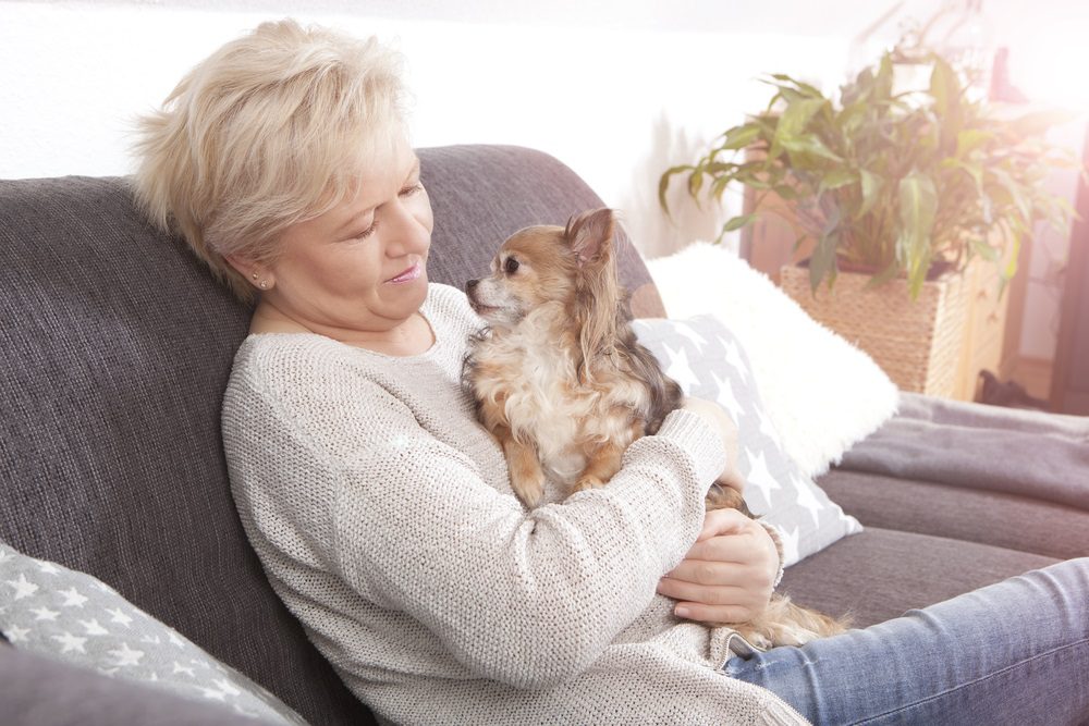 woman holding a tri colored long haired chihuahua sitting on a couch with both looking lovingly at each other