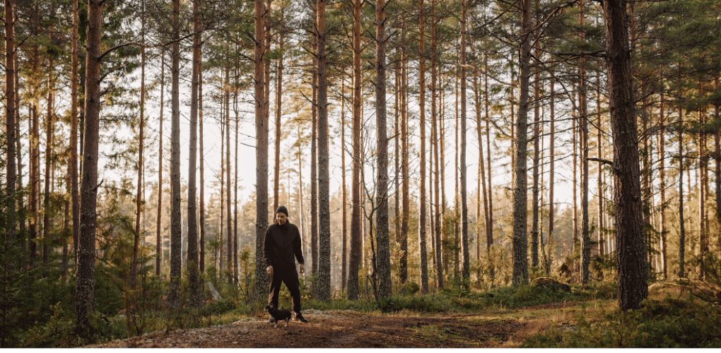 man walking in wooded area with lots of trees and a chihuahua