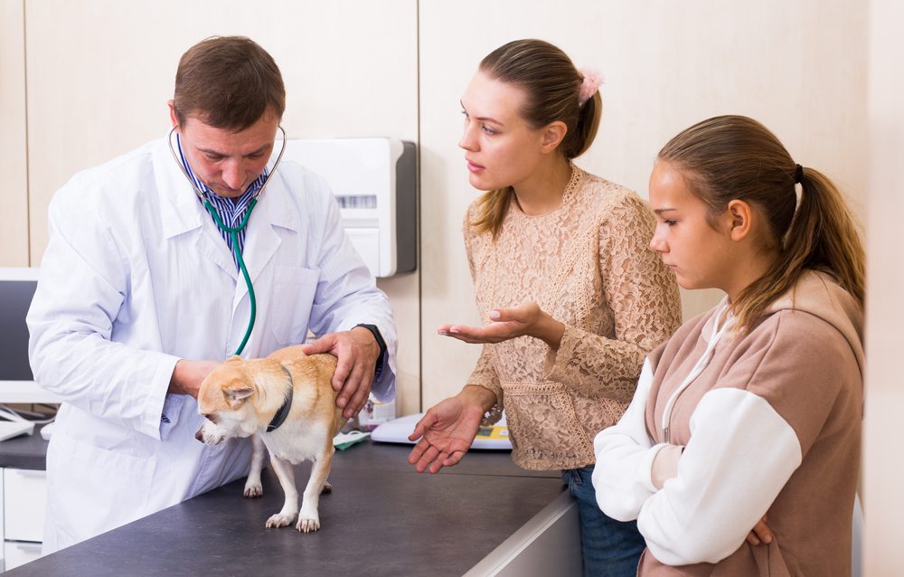 a male veterinarian examining a chihuahua and a woman who appears to be asking a question while a girl looks on