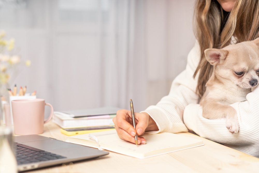 woman holding a chihuahua with a computer in front and taking notes