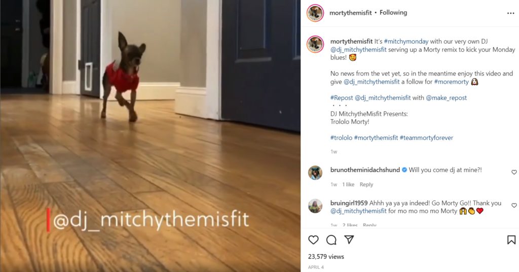 instagram post of morty the misfit